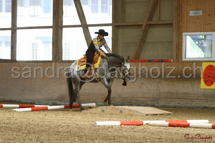 26-ApHC GT_232.jpg
